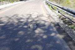 179351958_366690158080814_956743561462409721_n-Copy