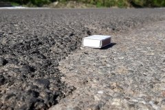 181305025_1147337499073774_8351565929490364541_n-Copy