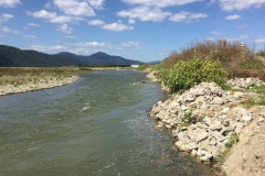 image00005