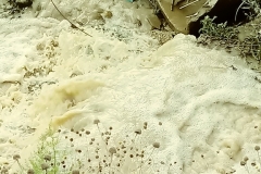 bistrita-24-sept-2019-32-Copy