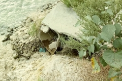 bistrita-24-sept-2019-33-Copy