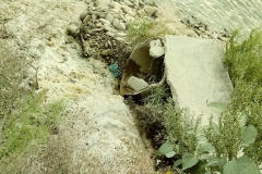 bistrita-24-sept-2019-34-Copy