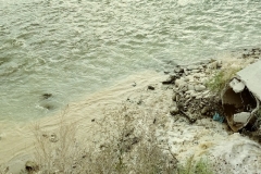 bistrita-24-sept-2019-35-Copy