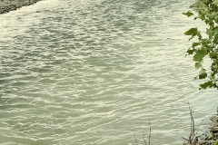 bistrita-24-sept-2019-39-Copy