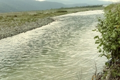 bistrita-24-sept-2019-41-Copy