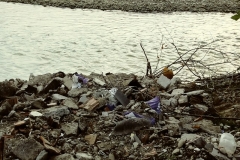 bistrita-24-sept-2019-42-Copy