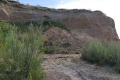 116698524_290354458856936_5758933167463201190_n-Copy 116698524_290354458856936_5758933167463201190_n-Copy