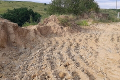 116710649_317669199358069_8589142607207918502_n-Copy 116710649_317669199358069_8589142607207918502_n-Copy