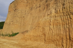 116785210_3402003969858877_8344558365452723828_n-Copy 116785210_3402003969858877_8344558365452723828_n-Copy