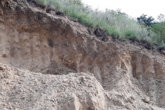 116794507_3068150136638103_6246408207488038149_n-Copy 116794507_3068150136638103_6246408207488038149_n-Copy