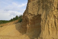 117036092_3314251415300832_1054005259057058741_n-Copy 117036092_3314251415300832_1054005259057058741_n-Copy