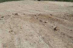 96252217_244436860106178_4010337936393371648_n