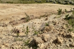 96365585_532043221008488_3540167011801759744_n