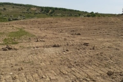 96369150_171620174202629_5331421549670957056_n