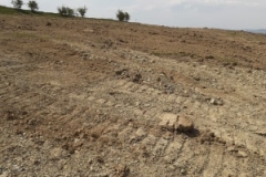 96381621_2605802836360768_2870447113454485504_n