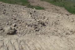 96422959_585635565405138_5809640044679397376_n