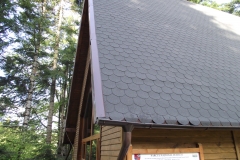 DSCF8196