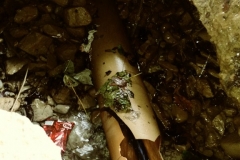 bistrita-24-sept-2019-226-Copy