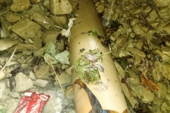 bistrita-24-sept-2019-228-Copy