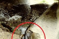 bistrita-24-sept-2019-231-Copy