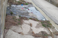 b19c2036-71d8-474a-a019-8cf9c35991dc