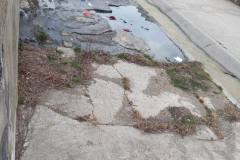 bb68b318-3ebf-437f-aaf0-892f01f0fe82