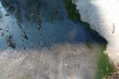 242255061_207840234672042_5876864959577285401_n