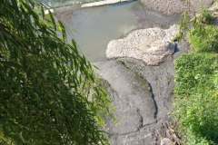 242272271_283786173285876_8893152625586212121_n