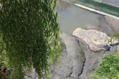 242295078_555196852261675_4262121688237047689_n