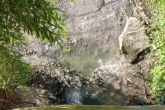 242298313_2457860797692196_6041781814939948587_n