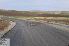 278354781_5033721270016056_5753699208795639103_n-Copy