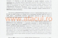 26 (Copy)