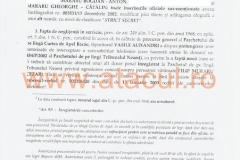 28 (Copy)