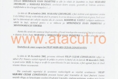 32 (Copy)