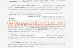35 (Copy)