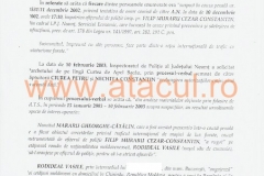 36 (Copy)