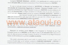 41 (Copy)