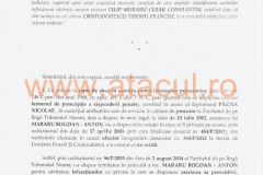 42 (Copy)