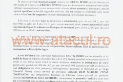 43 (Copy)