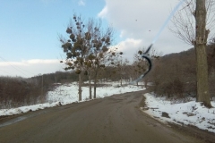 IMG_20180219_161343 (Copy)