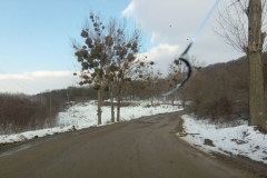 IMG_20180219_161345 (Copy)