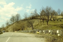 20190407_140542_Film2-Copy