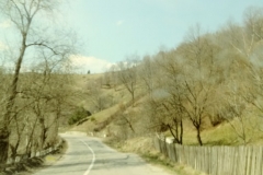 20190407_141119_Film2-Copy