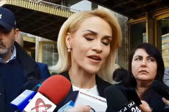 35151502_641269362889948_3224144074076323840_n