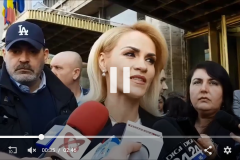 35193387_641270359556515_4822495434360487936_n