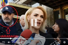 35193522_641269386223279_8981155165763534848_n