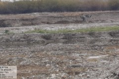 20211017_171500-Copy