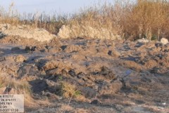 20211023_173833-Copy