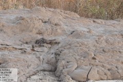 20211023_173941-Copy