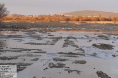 20211023_174651-Copy